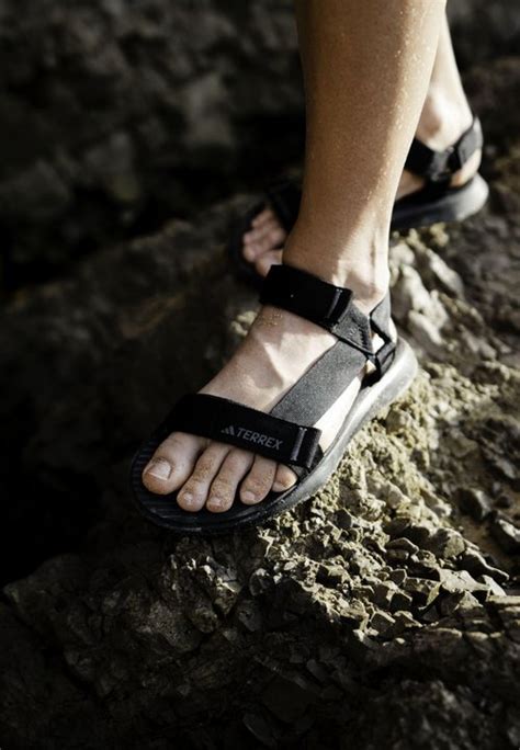 geksox|Gelsox Nordic .